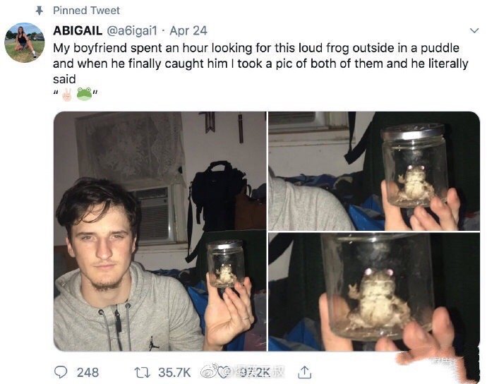 那只吵得要死的青蛙