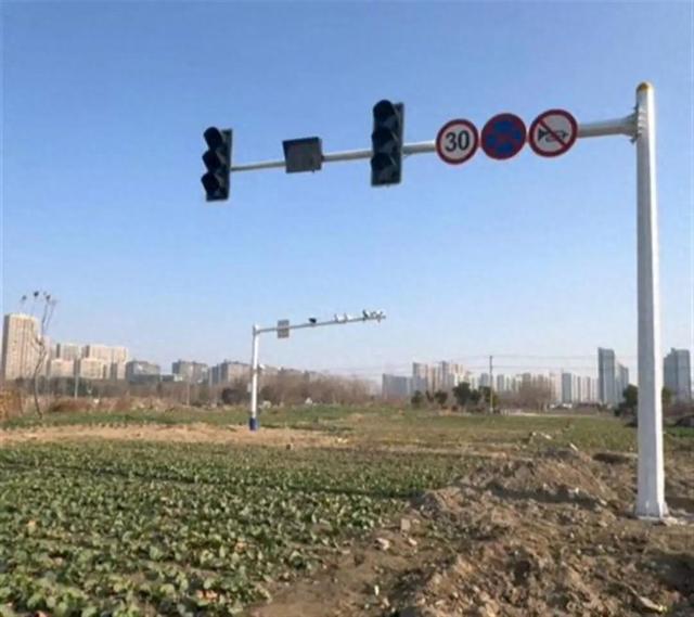掘地三尺抓黄鳝，没想到菜地里还能“长”红绿灯来。