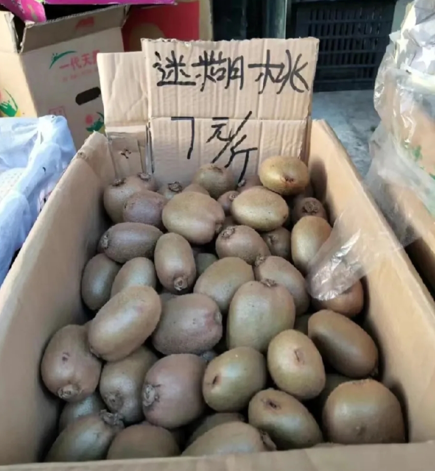 吃了就迷糊的桃，谁吃过，吃完真的会迷糊吗！