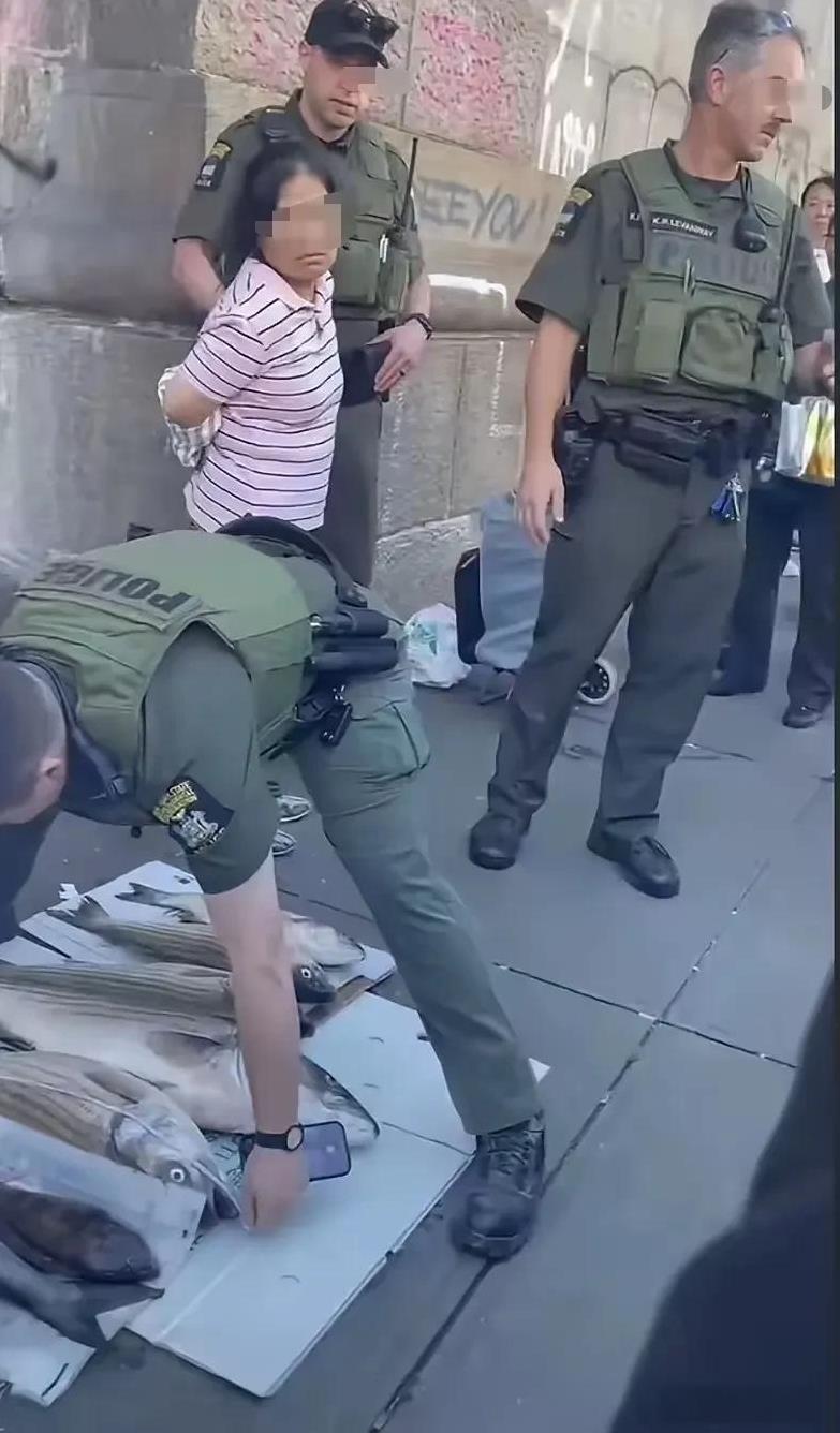 这是网友在美国旧金山拍摄的照片，这位华人妇女把钓的鱼摆摊售卖，被警察直接铐起来了