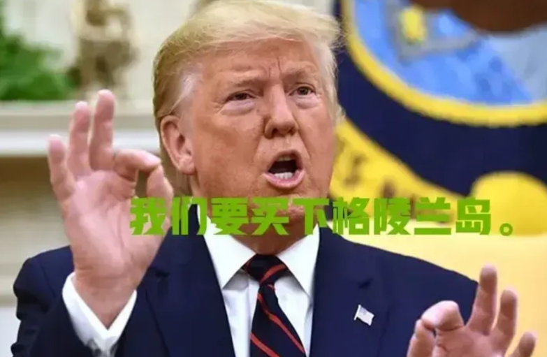 带头大哥对小弟下手了。
一句买下格林兰岛，让小弟丹麦慌的已经走投无路了。
客气的