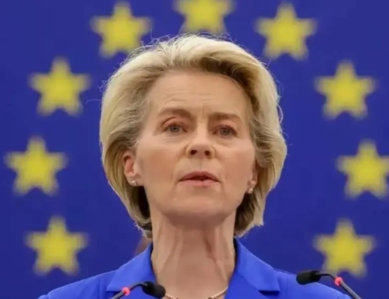 冯德莱恩一声令下：“对华投资审查，搞起！赞成举手！” 立陶宛跟打了鸡血似的，小手