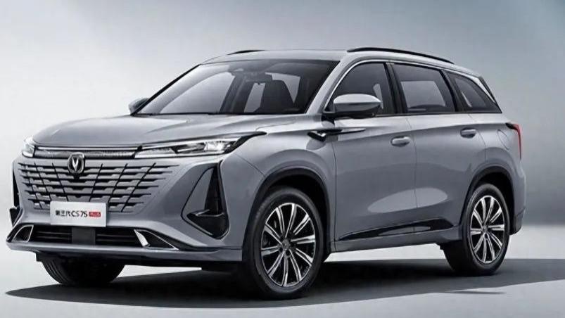 被严重忽视的国产豪车，空间大，配置高，号称真男人SUV，仅需11万就可入手，省油耐操，真香!
