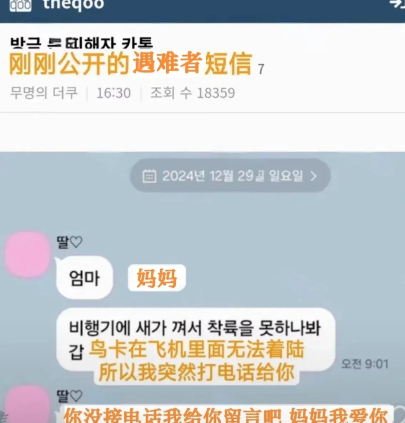 这名韩国人太惨了，她在出事的飞机上，直到生命的最后一刻，都没能联系上家里的妈妈！