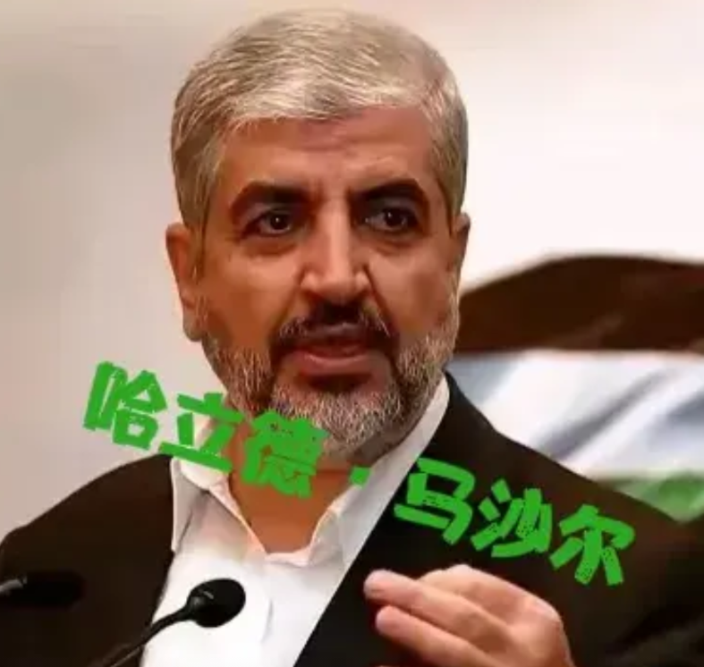 伊朗是不是没有安好心呀！
哈马斯前领袖到伊朗参加总统就职仪式，
被不明不白丧身。