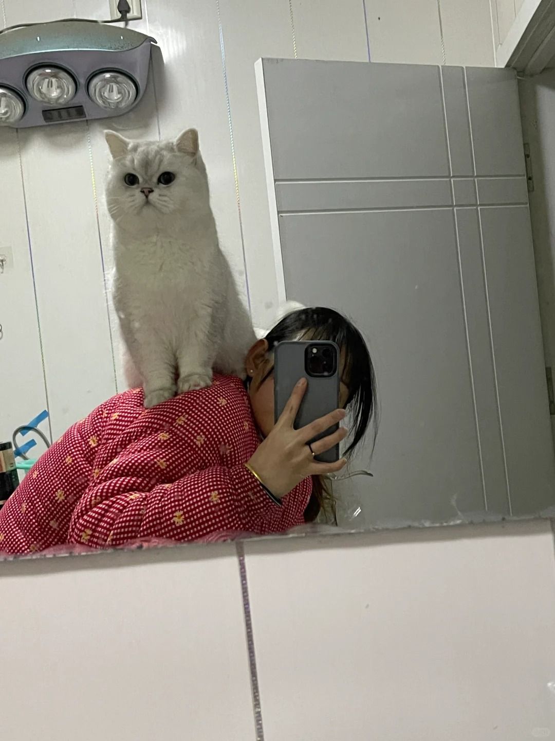 顶一瓶汽水算什么
我可以顶起一只猪咪