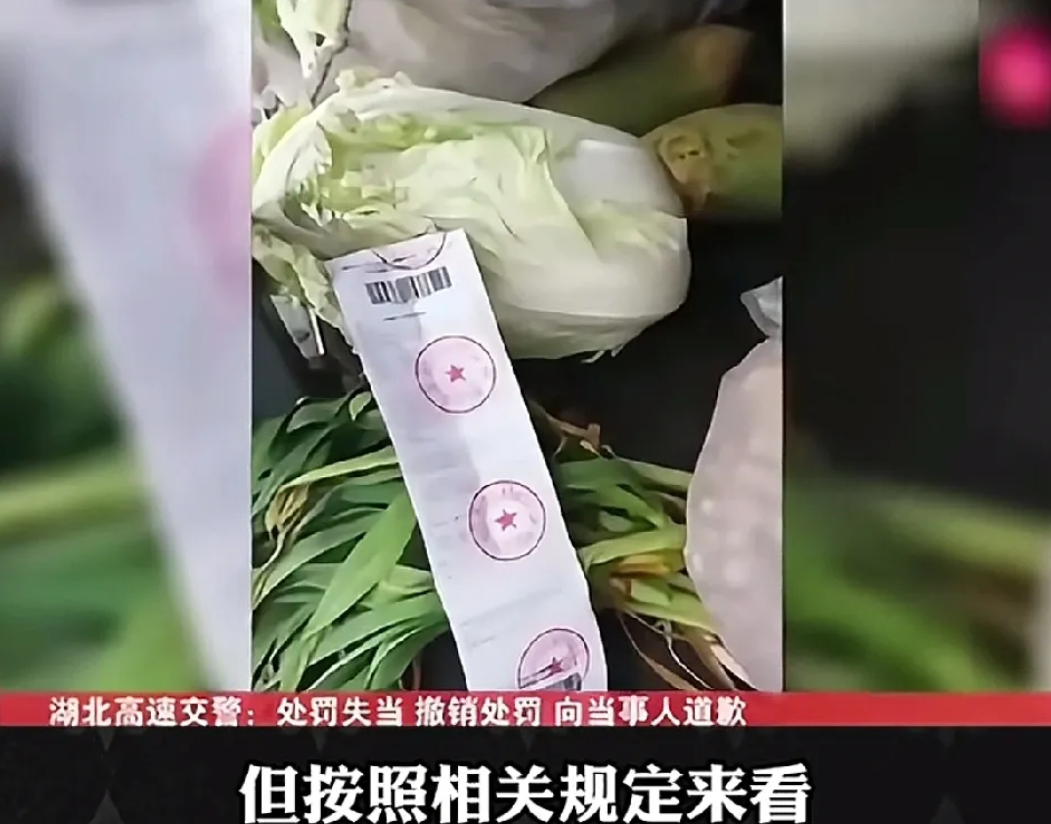 让带青菜，不让带货物，但青菜是货物，这几句话给我整懵了！
乘客带两颗白菜坐大巴车