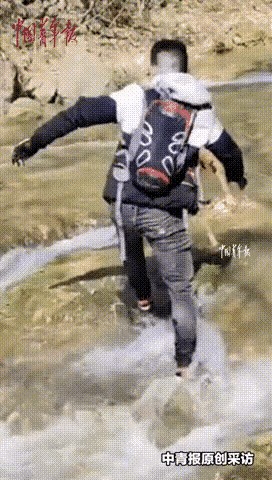 啥？小伙河边溜达，竟遇上母牛生娃！水库突然开闸放水，眼瞅着小牛要被冲走，小伙一个