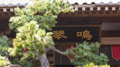 #花间令# 
县衙随手拍