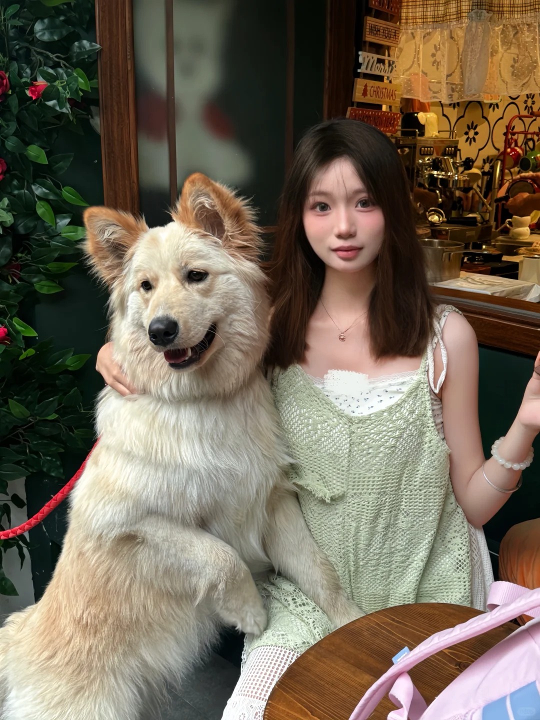 小狗乖乖૮₍ꐦ -᷅ ⤙ -᷄ ₎ა