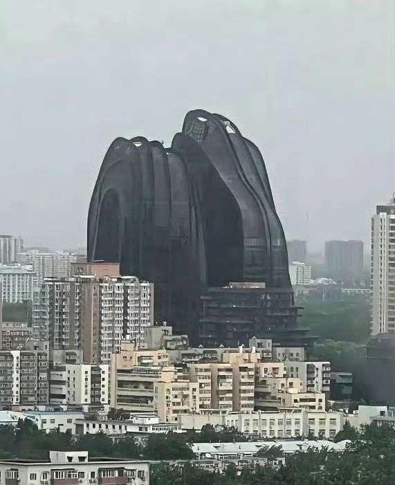 这是啥玩意儿？