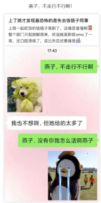 燕子，不走行不行啊！