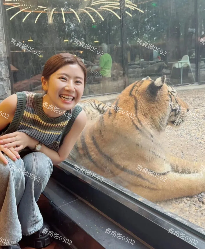 福原爱在动物园开心的和东北虎还有巨大的鸵鸟蛋合影，36岁的她瘦了很多，笑容依旧元