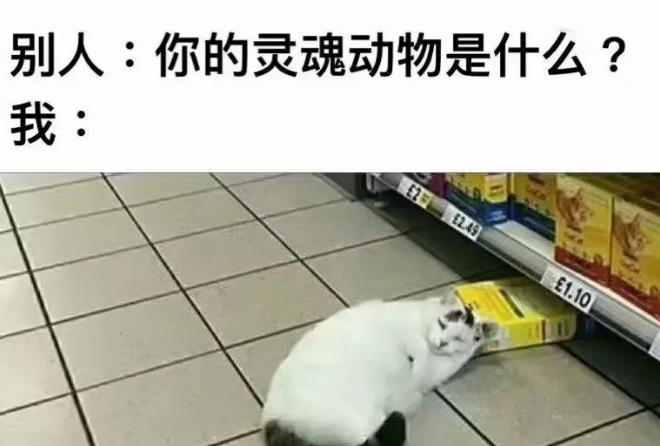 你的灵魂动物是什么？