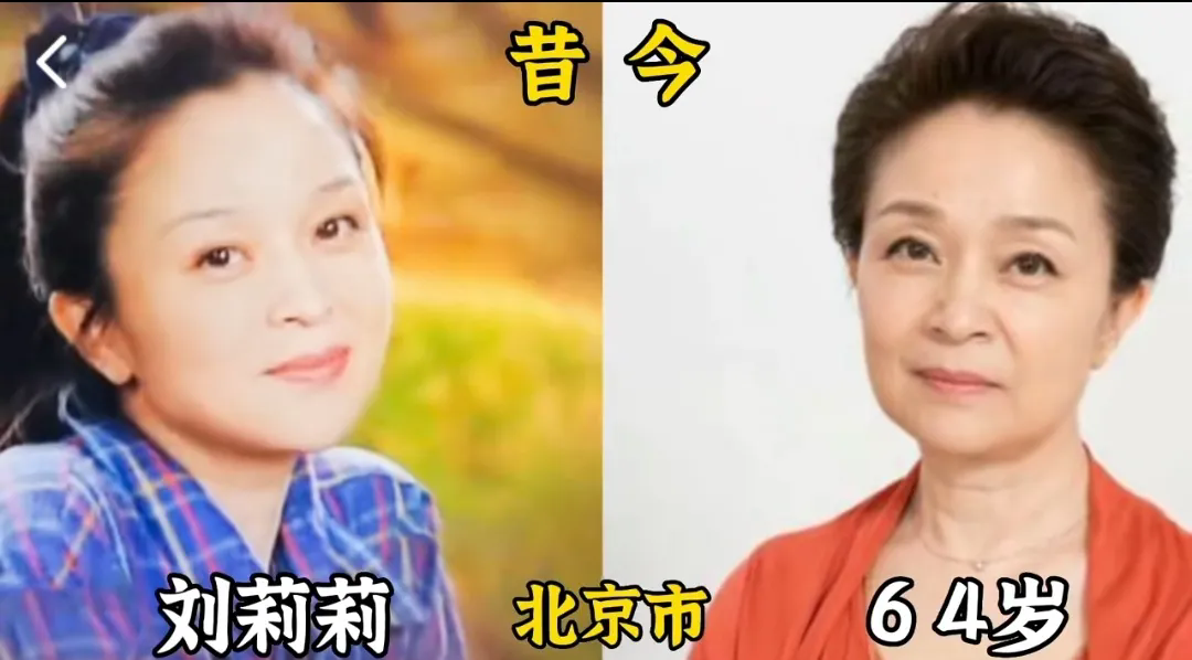 15位恶婆婆专业户女演员今昔对比，经典深入人心，你觉得谁可恨
第1位:王琳
第2