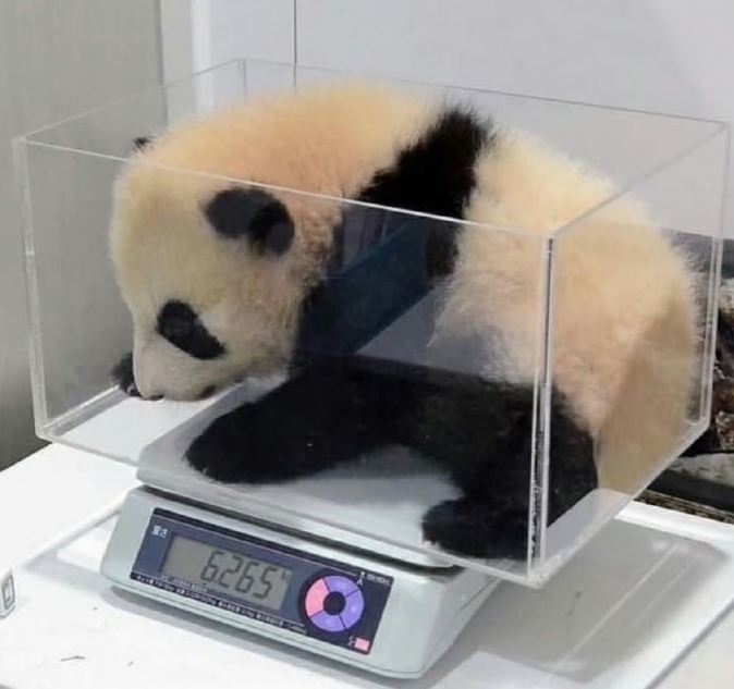 称完体重后，自闭了