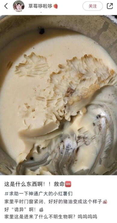 此时无声胜有声