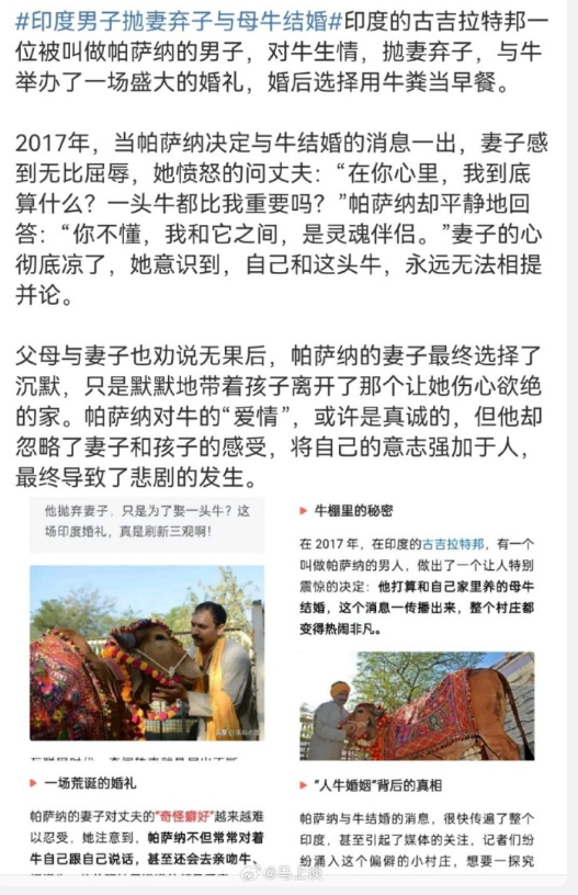 听说过牛粪可以用来当早餐吗？这一看似荒诞的消息却真实存在于印度某些地区的日常生活