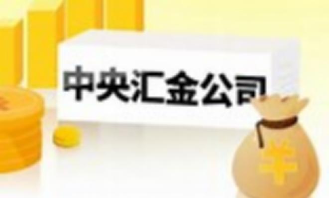 直接减少了AMC 面临风险时对财政方面的直接冲击，能够保证财政体系的稳定。
从管