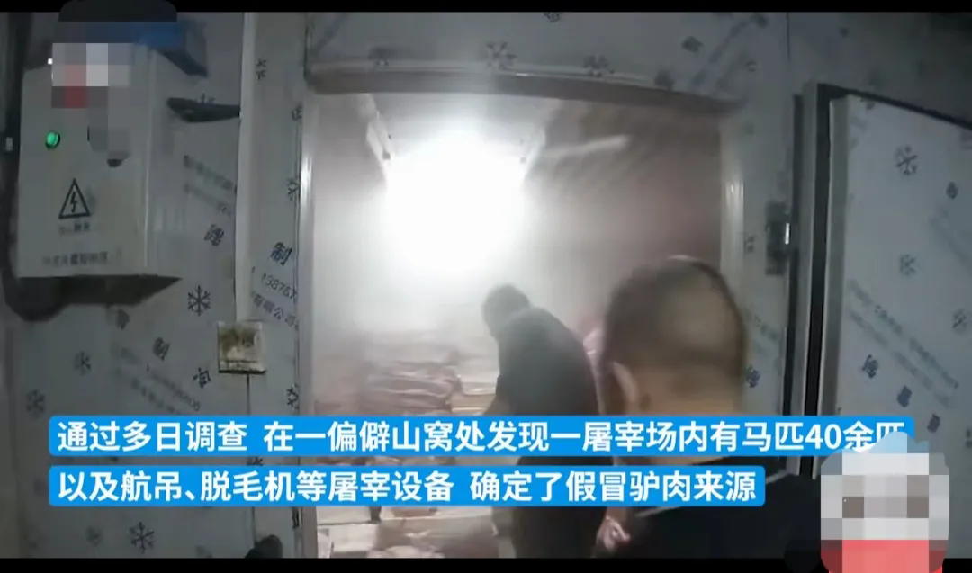 驴肉店卖马肉？谁能告诉我哪个贵？