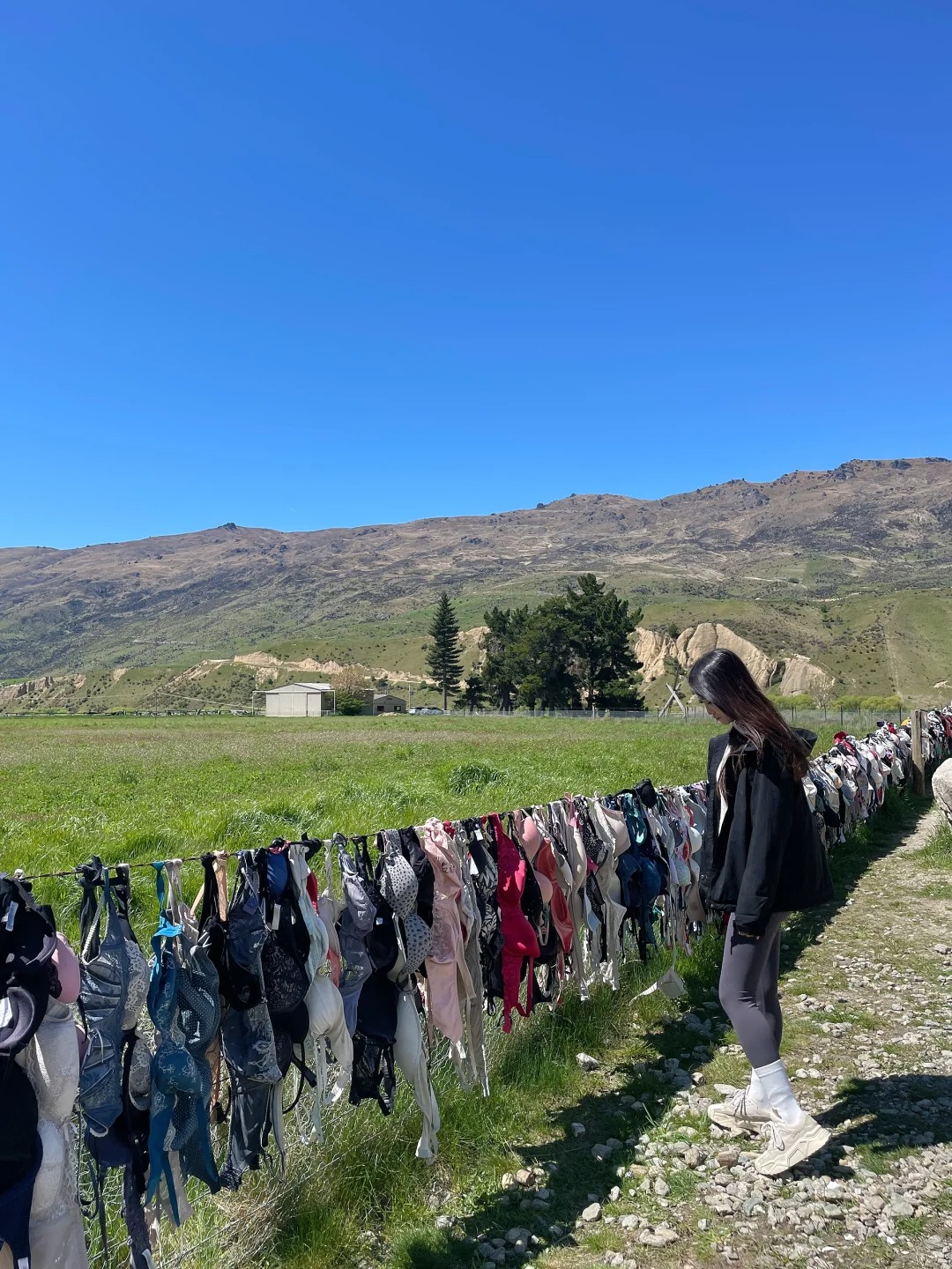 新西兰bra墙👙一些无奈🤷🏻‍♀️感悟
由酒后闹剧慢慢形成的公益景点
鼓励