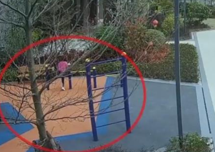 白嫖无下限？广东一保姆带着雇主家的三个小孩外出取快递，回去路上让三个小孩独自在小