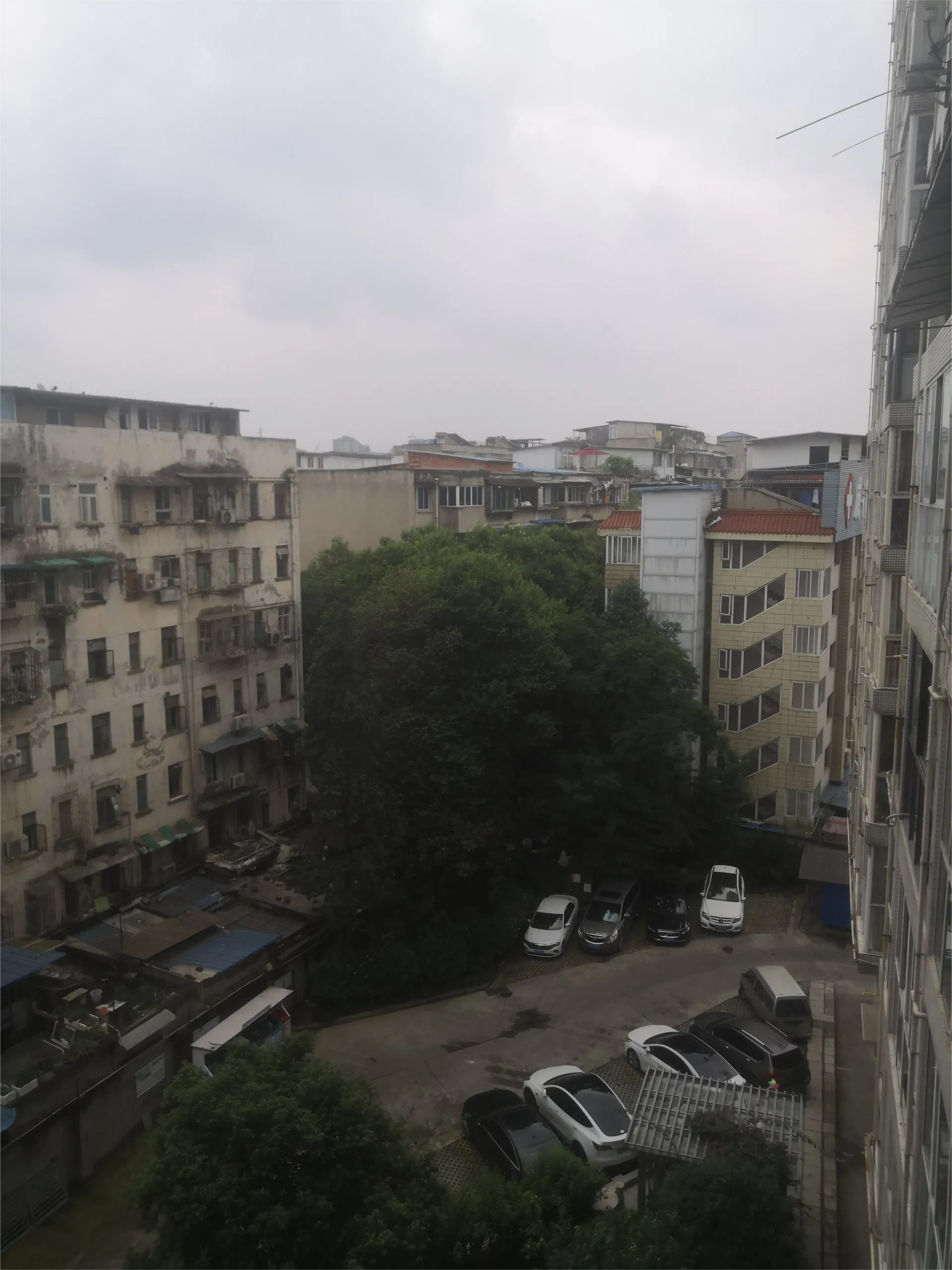 对于网红钓鱼落水溺亡事件，我作为一个拥有十多年钓鱼经验的老手老说，钓鱼一定要注意