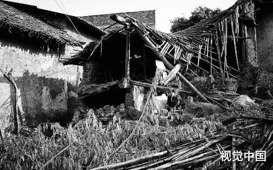 我出生后身体一直不好，爸妈回老家祭祖，在倒塌的老房子那捡到一只龟，它说自己900岁