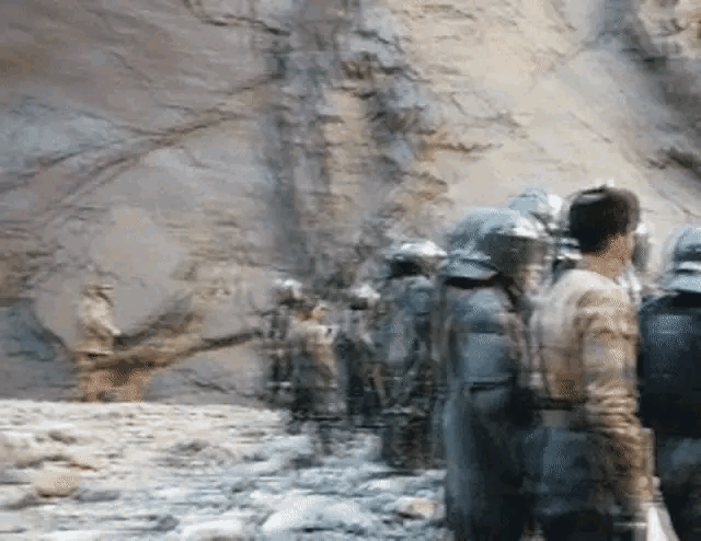 它就是我们的军犬