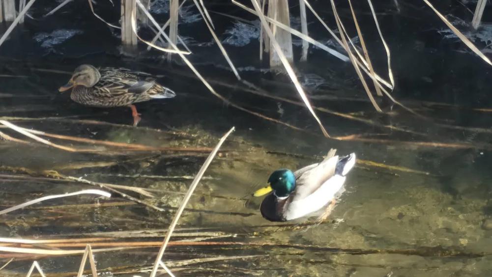 感到人生不顺时，一定要主动扔掉这三样东西