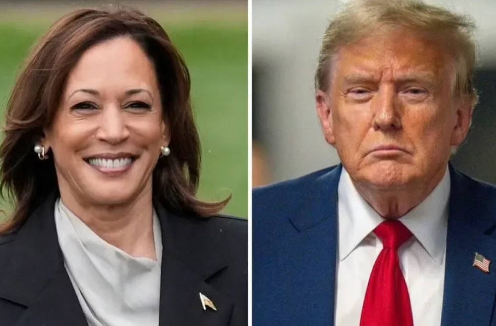 太尴尬了！特朗普侄子落井下石！

在美国民主党总统候选人哈里斯在乔治亚州、密歇根