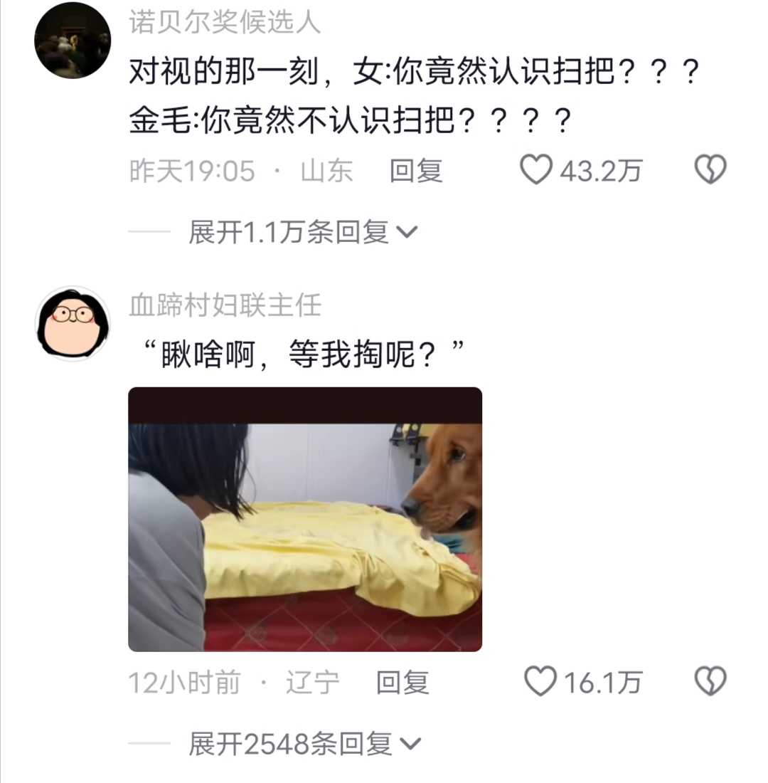 狗:让我瞅瞅找啥呢