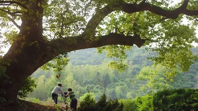 [原创连载]望春山（二）