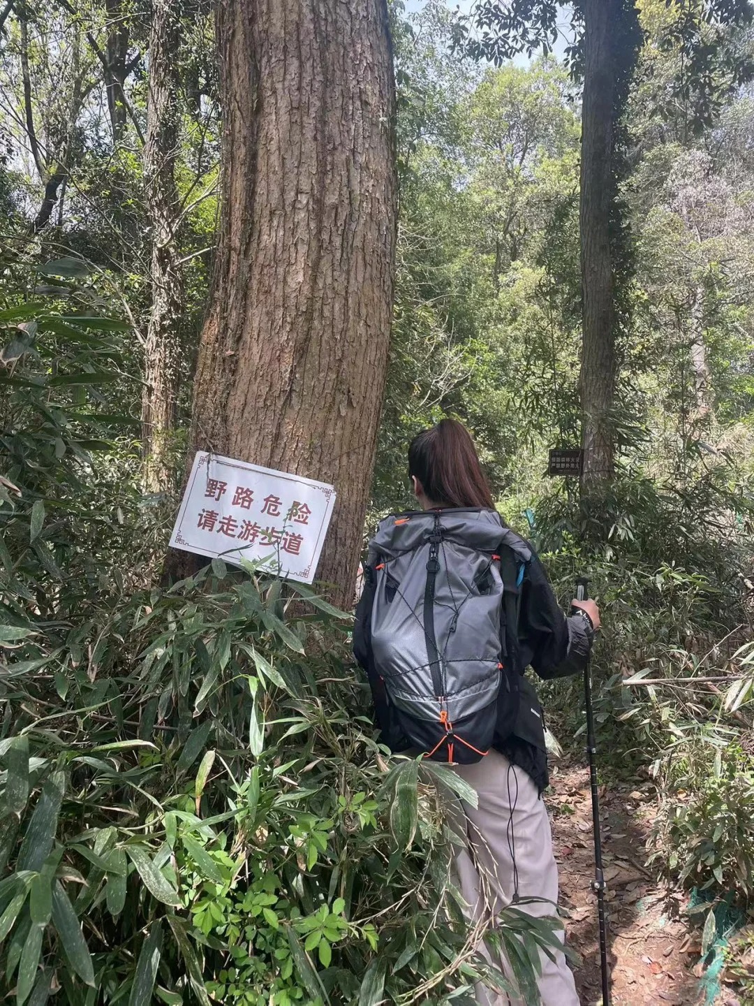 见笑了，只能徒兔头嘞～
刚出发 发现走错了道，把兔头砍下了喔
两耳朵是往返北高峰