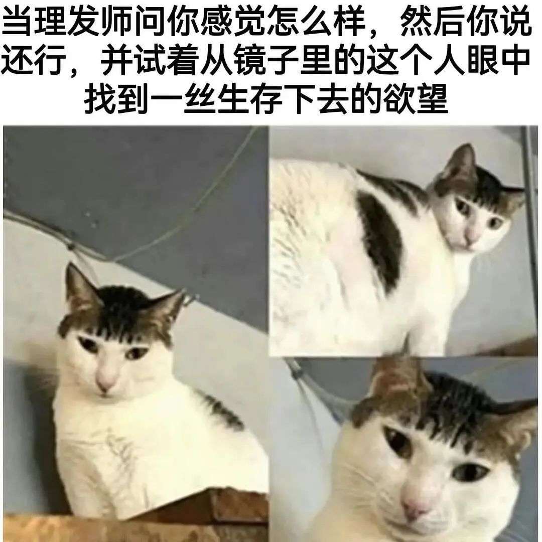 找不到一丝生存下去的欲望