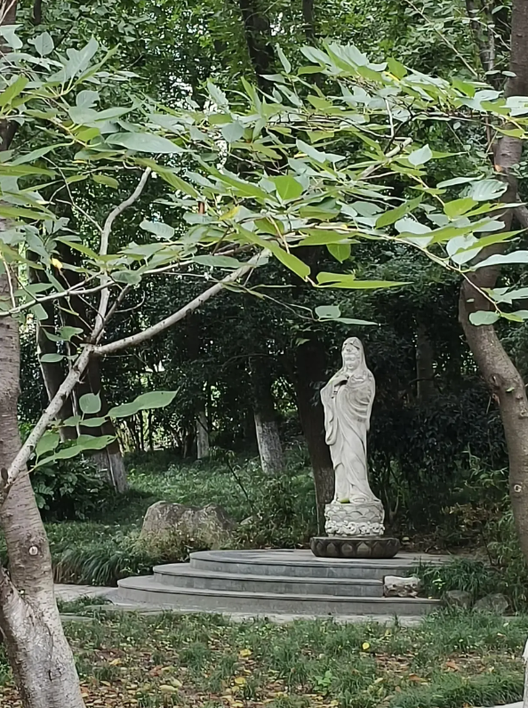 历史就是民族之间民族内部的相互残杀，五胡乱华，灭了汉人三分之二，把汉族少女随军携