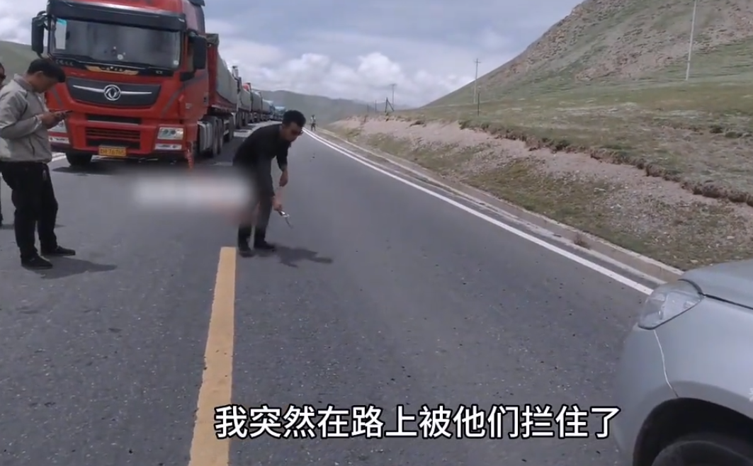 活久见！青海，男子驾车进入藏区国道，就在他欣赏沿途风景时，突然，从路边窜出几个戴