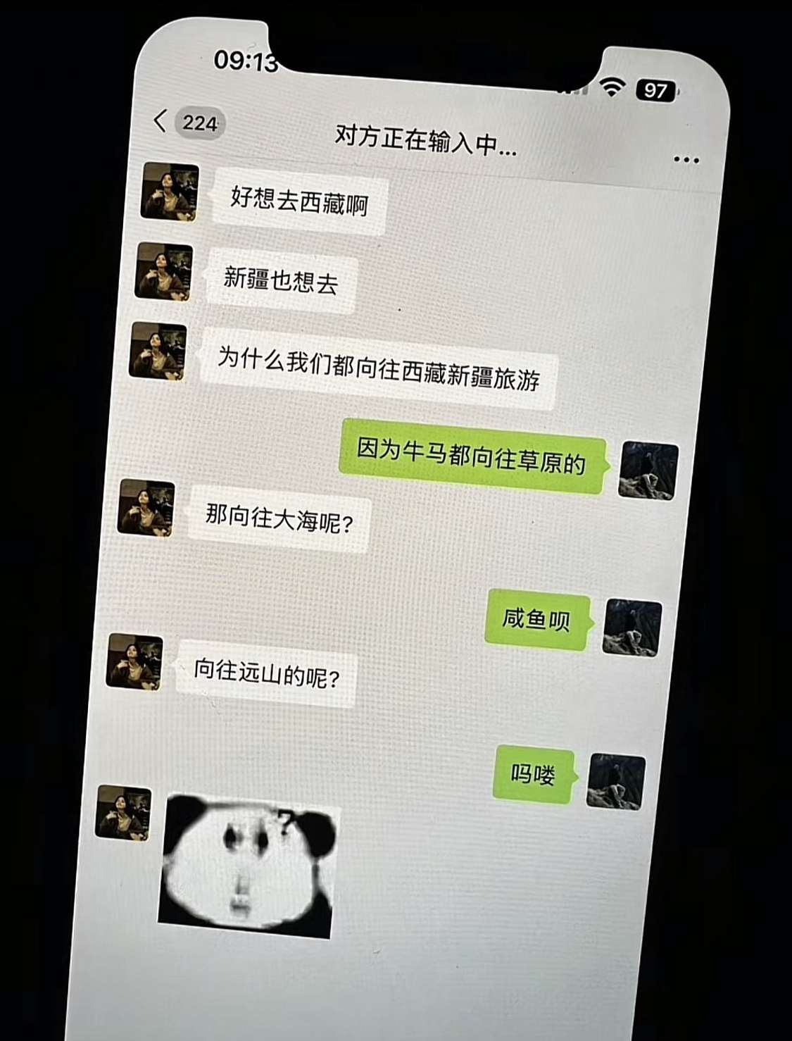 因为牛马都向往草原的