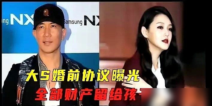 大S和具俊晔的婚姻协议真是教人跌破眼镜！38页的协议，涵盖了几乎所有可能的财产纠纷！