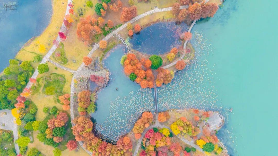杭州萧山的冬天哪里最美？云洲敛翠成功出位，很多本地人都不知道