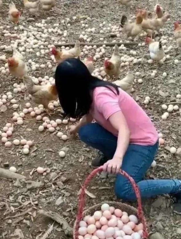 这摆拍也太假了吧，也就城里人会上当。