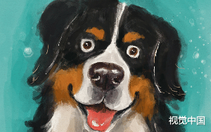 妻子和其前任谋害丈夫，预要坐享丈夫上亿资产，不想被一条狗破案了！