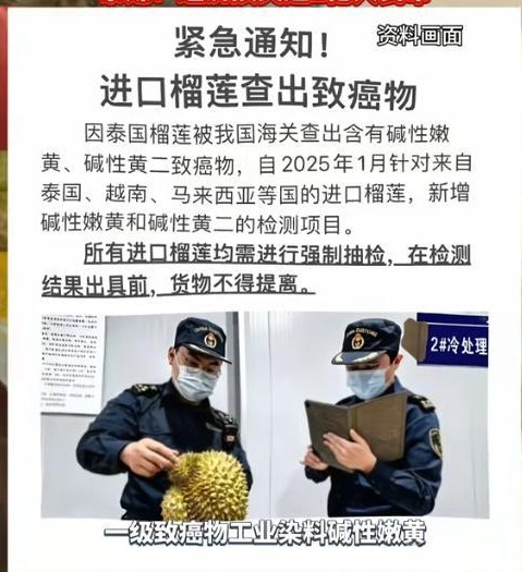 泰国榴莲退回，损失超一亿

                          