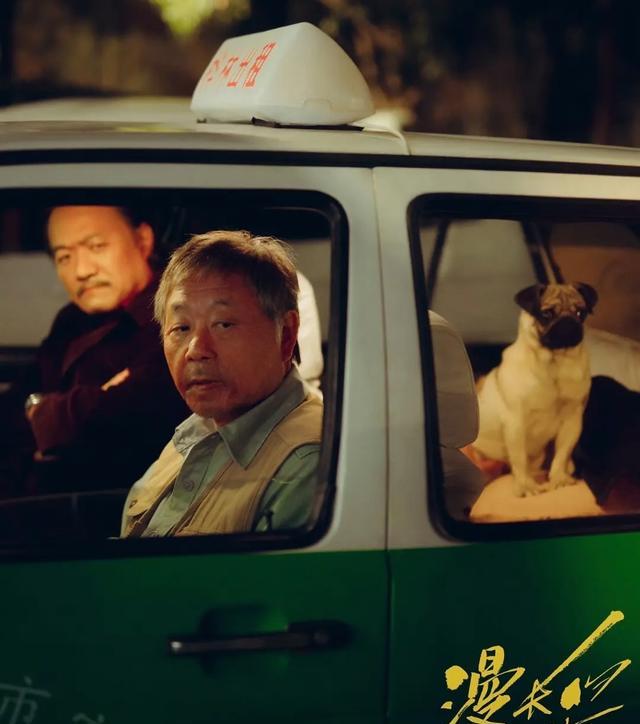 豆瓣评分最高11部顶级悬疑剧，秦昊、成毅、潘粤明领衔，入股不亏（豆瓣分高的悬疑电视剧排行榜）-第25张图片-九妖电影