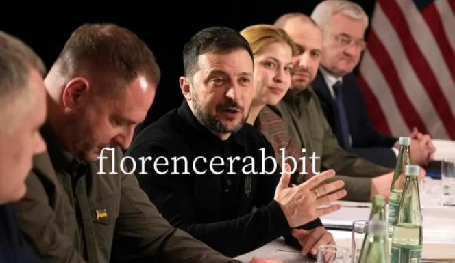 泽连斯基在与万斯会晤中阐明了自己的底线。在慕尼黑安全会议期间，双方在酒店地下室会