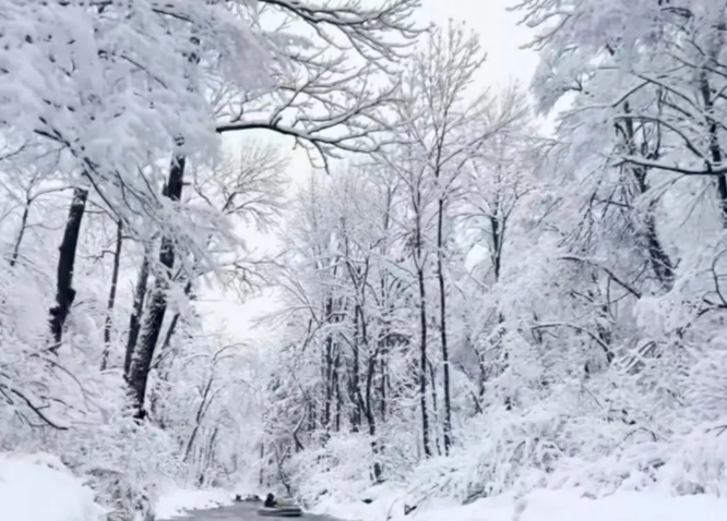 长白山治愈系风景