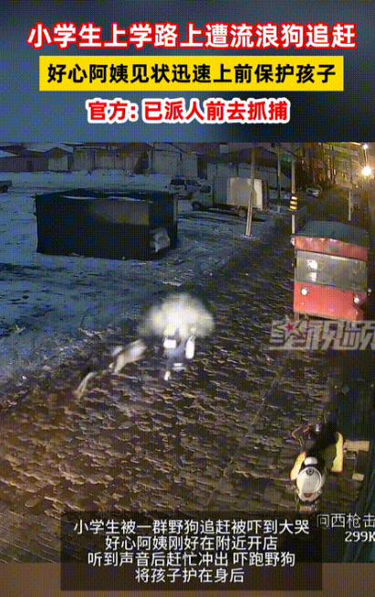 太恐怖了！小女孩让八九条流浪狗追了一条街，被吓得崩溃大哭！眼看女孩就要被狗咬上，