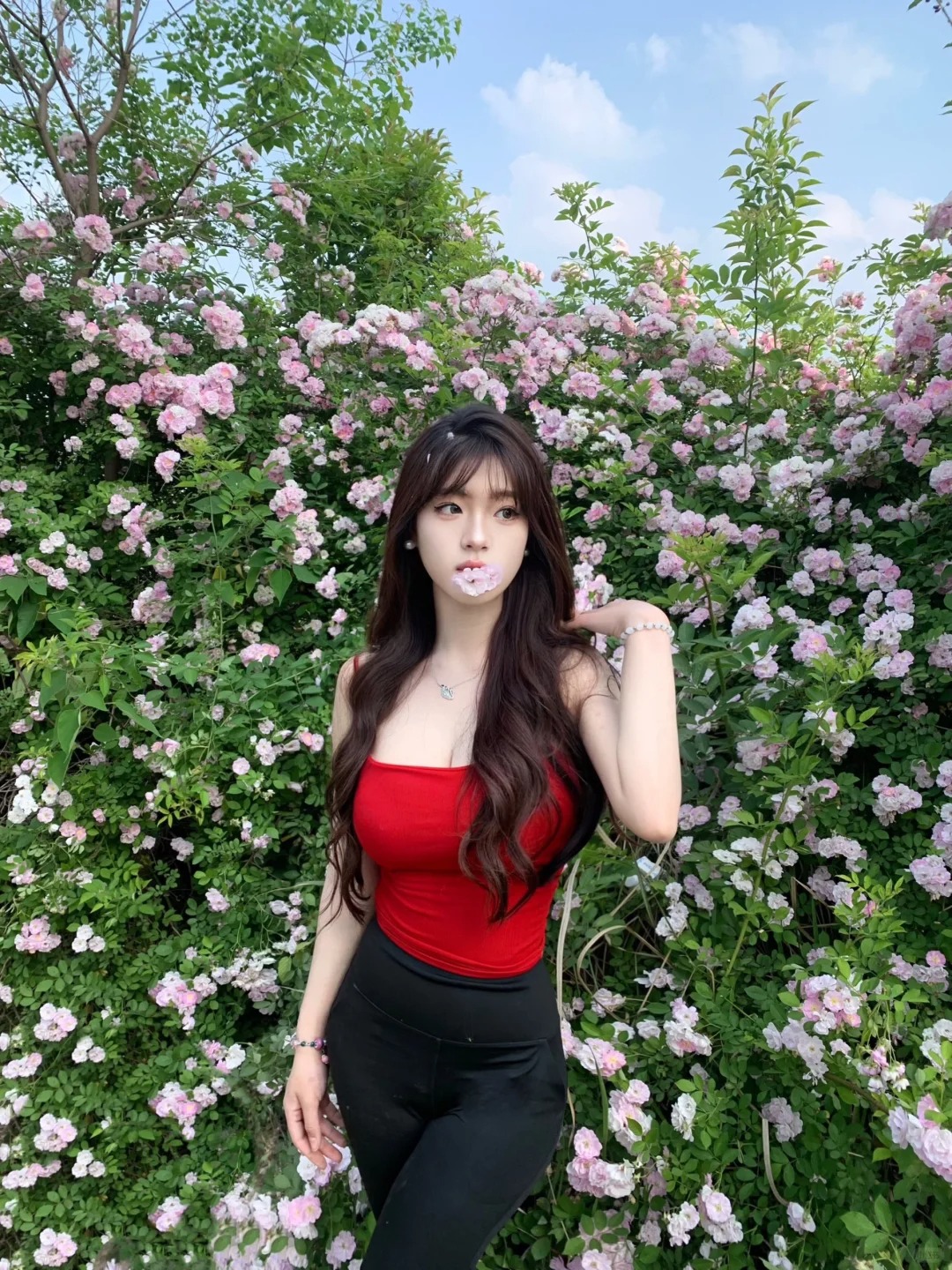 蔷薇花季🫧