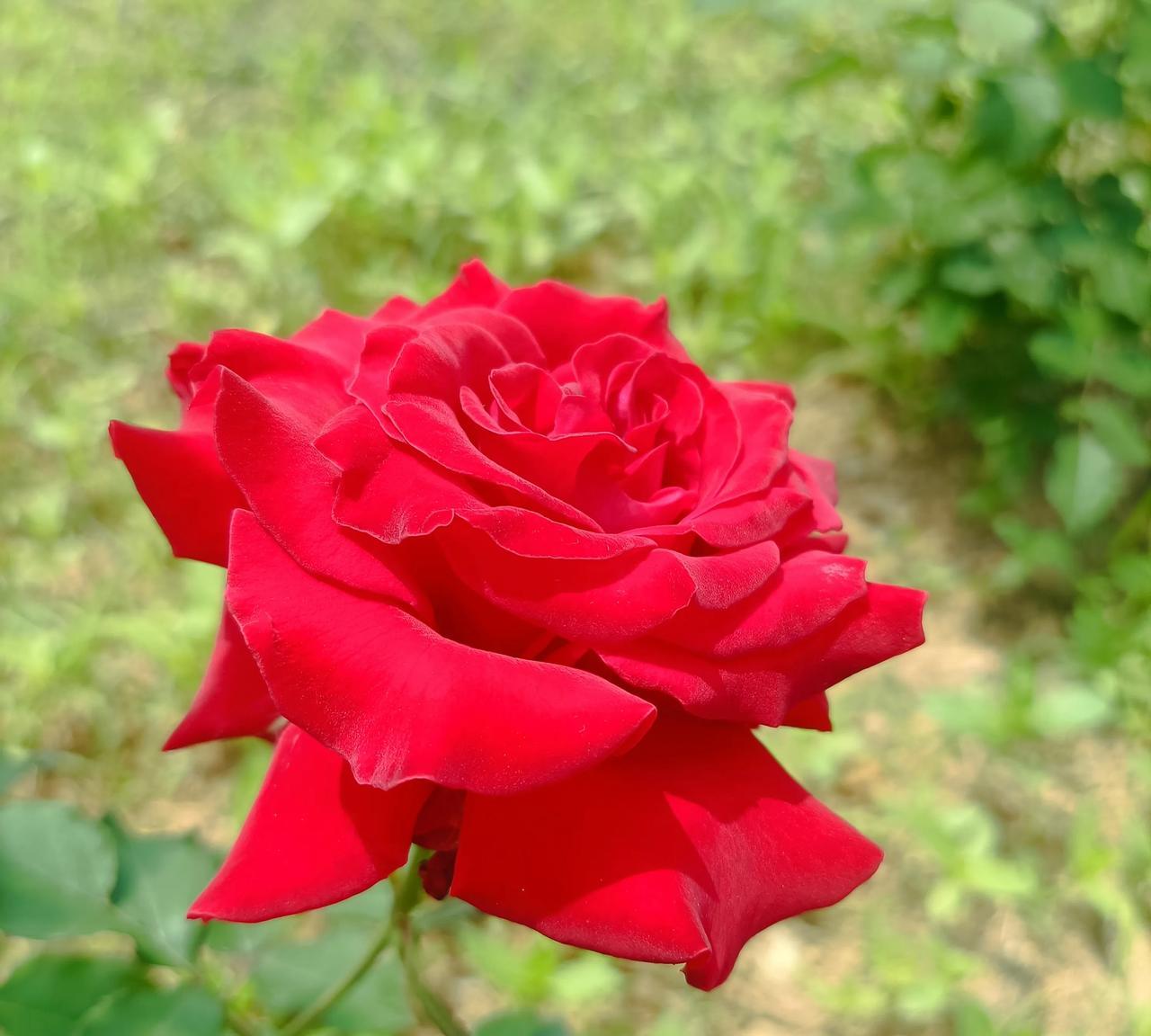 到老了终于活明白了！今天，老公嘱咐我，咱们过年回家装穷，亲情也就那么回事，咱们上