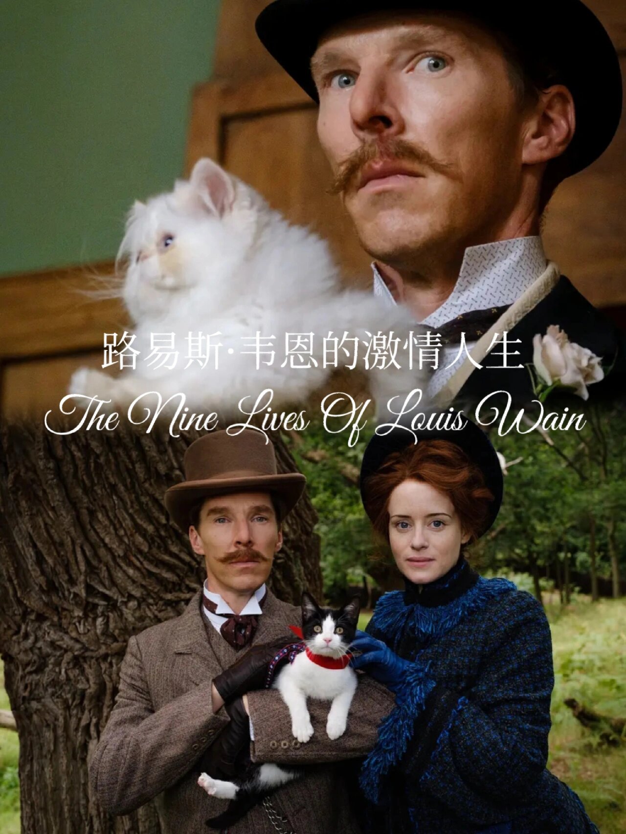 卷福高分出演猫奴画家一生传奇